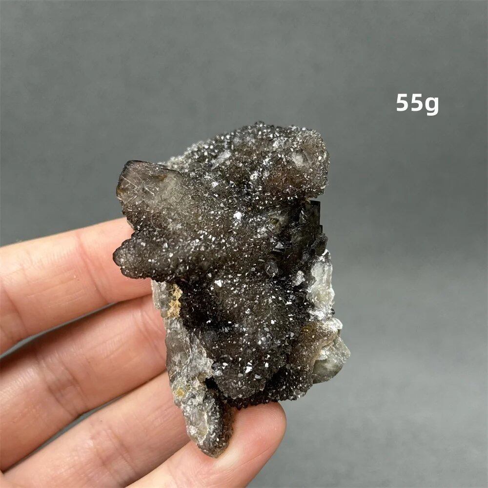 100%天然 南アフリカ産 ブラッククリスタルサボテン ミネラル原石 クラスター オーラヒーリング 瞑想 エネルギー ホームデコレーション カラー: 並行輸入品
