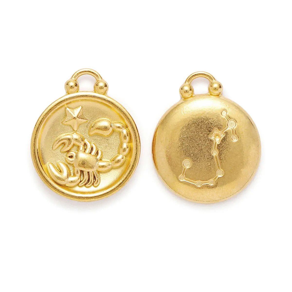 Set of 5 Stainless Steel Zodiac Charms, Round Zodiac Pendants, DIY Jewelry Making Supplies, Wholesale, Metal Color: XF500-x5, Parallel Import