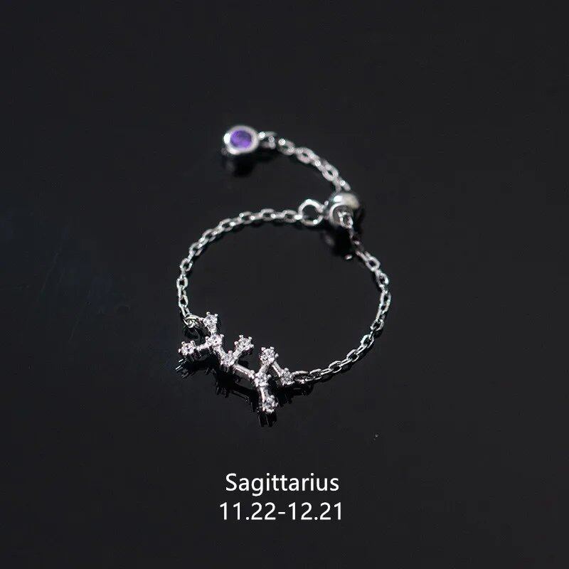 WANTME 925 Sterling Silver Unique 12 Constellations Chain Link Adjustable Ring for Women and Couples, Zodiac Jewelry, Astrological Gift, Parallel Import