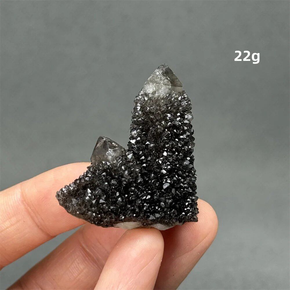 100%天然 南アフリカ産 ブラッククリスタルサボテン ミネラル原石 クラスター オーラヒーリング 瞑想 エネルギー ホームデコレーション カラー: 並行輸入品