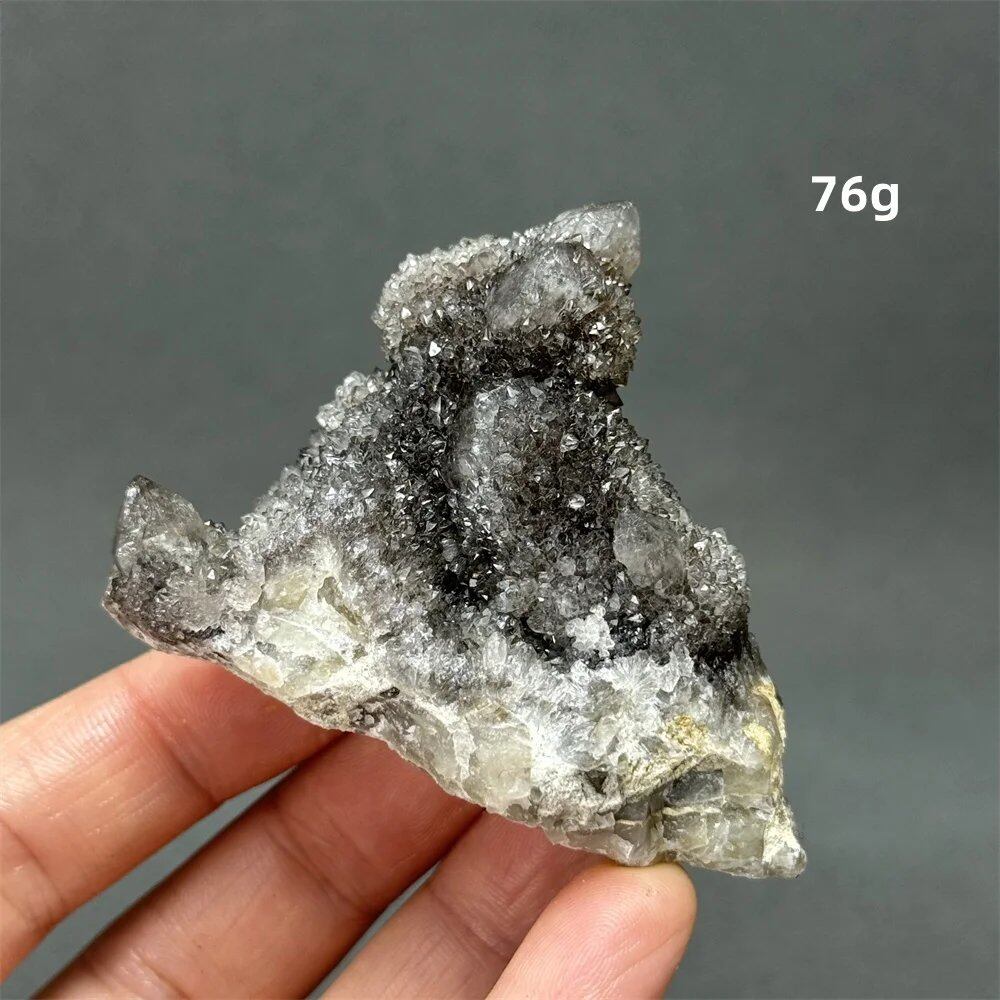 100%天然 南アフリカ産 ブラッククリスタルサボテン ミネラル原石 クラスター オーラヒーリング 瞑想 エネルギー ホームデコレーション カラー: 並行輸入品