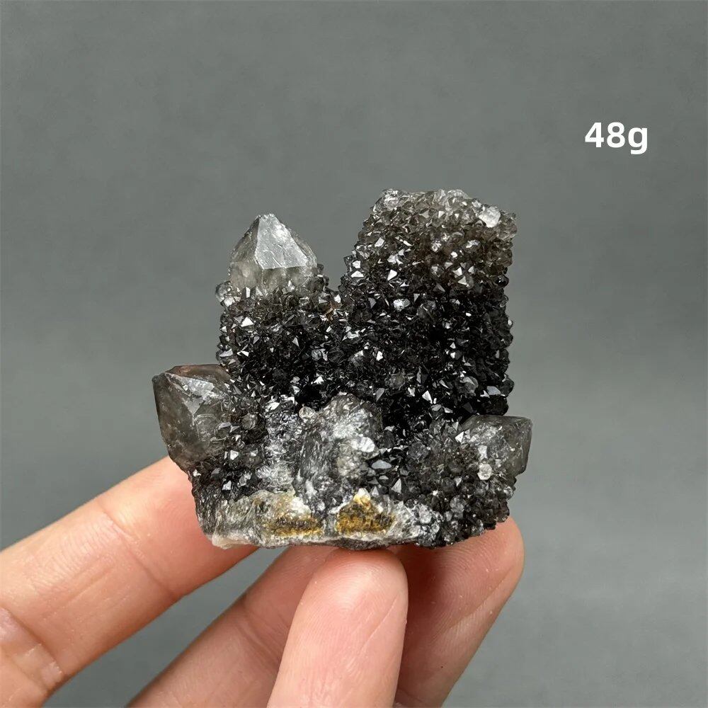 100%天然 南アフリカ産 ブラッククリスタルサボテン ミネラル原石 クラスター オーラヒーリング 瞑想 エネルギー ホームデコレーション カラー: 並行輸入品