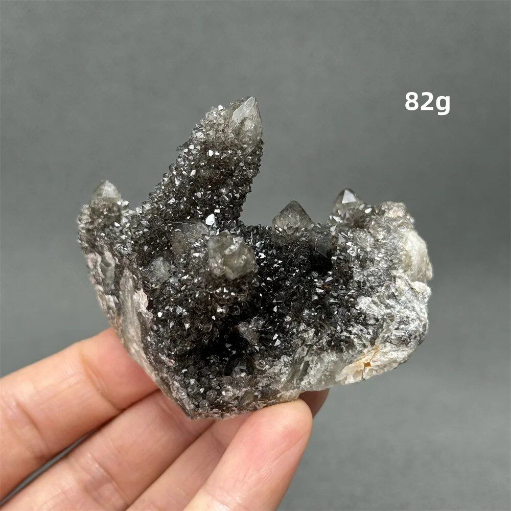 100%天然 南アフリカ産 ブラッククリスタルサボテン ミネラル原石 クラスター オーラヒーリング 瞑想 エネルギー ホームデコレーション カラー: 並行輸入品
