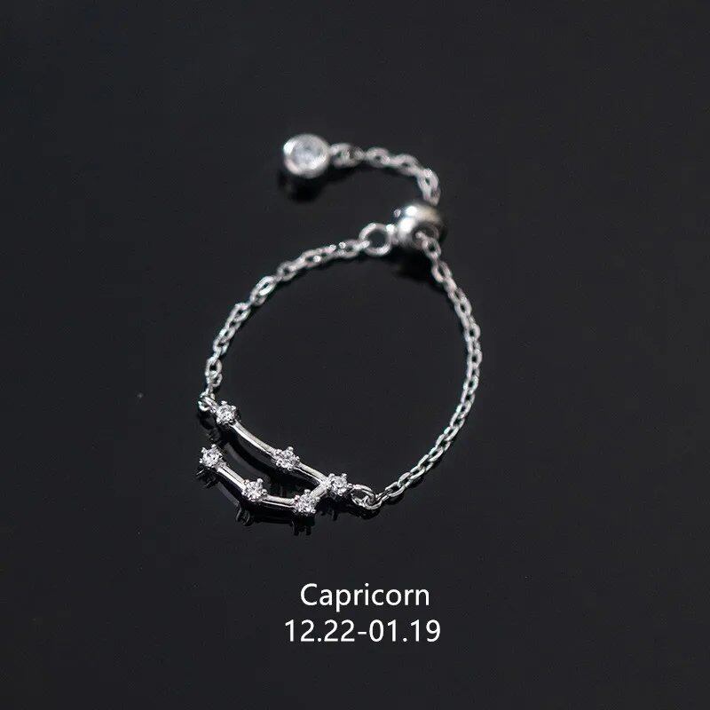 WANTME 925 Sterling Silver Unique 12 Constellations Chain Link Adjustable Ring for Women and Couples, Zodiac Jewelry, Astrological Gift, Parallel Import