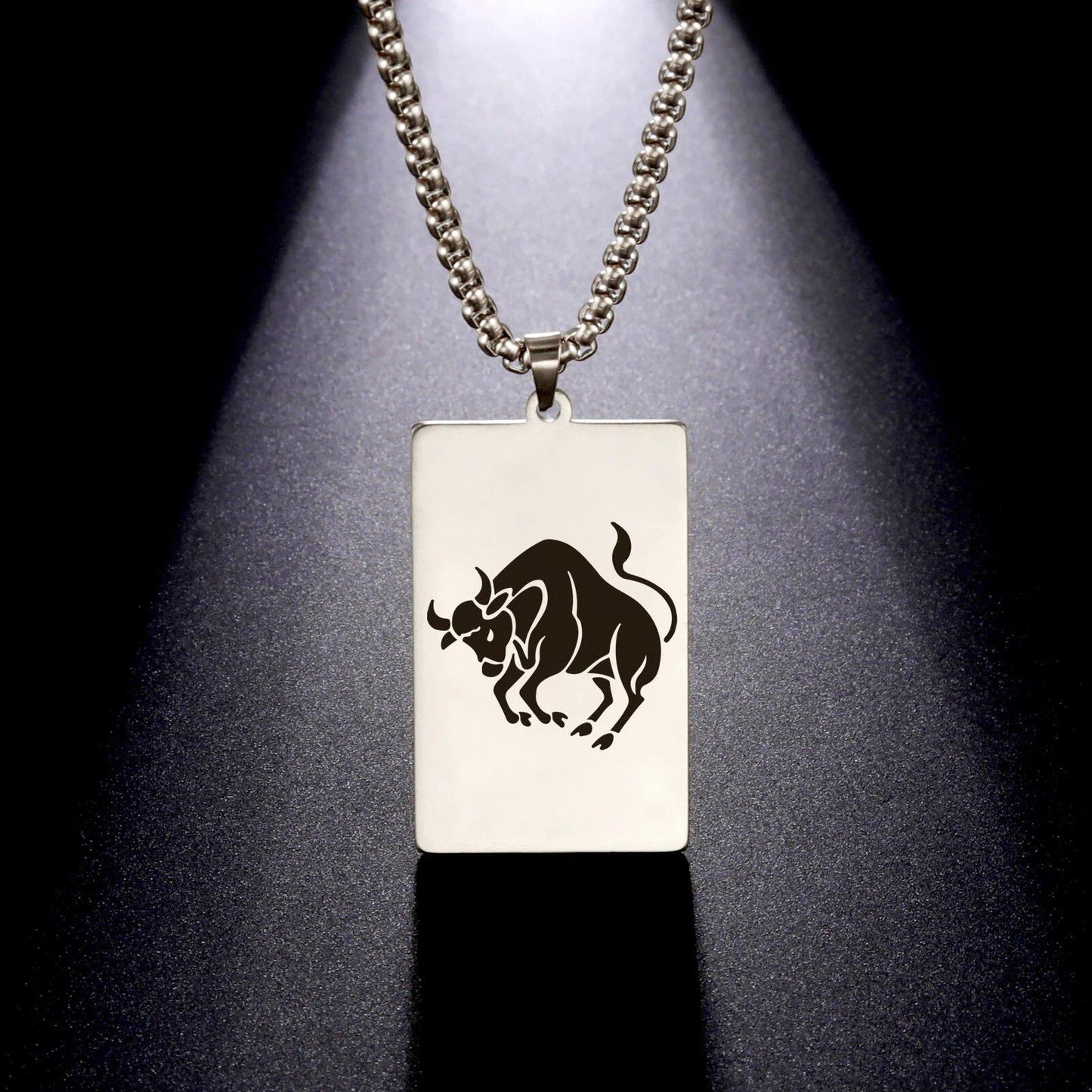 Men's 12 Zodiac Signs Pendant Necklace with Box Chain, Ancient Greek Style, Stainless Steel, Fade-Resistant, Zodiac Astrology Gift, 60cm Long; Metal Color: Parallel Import