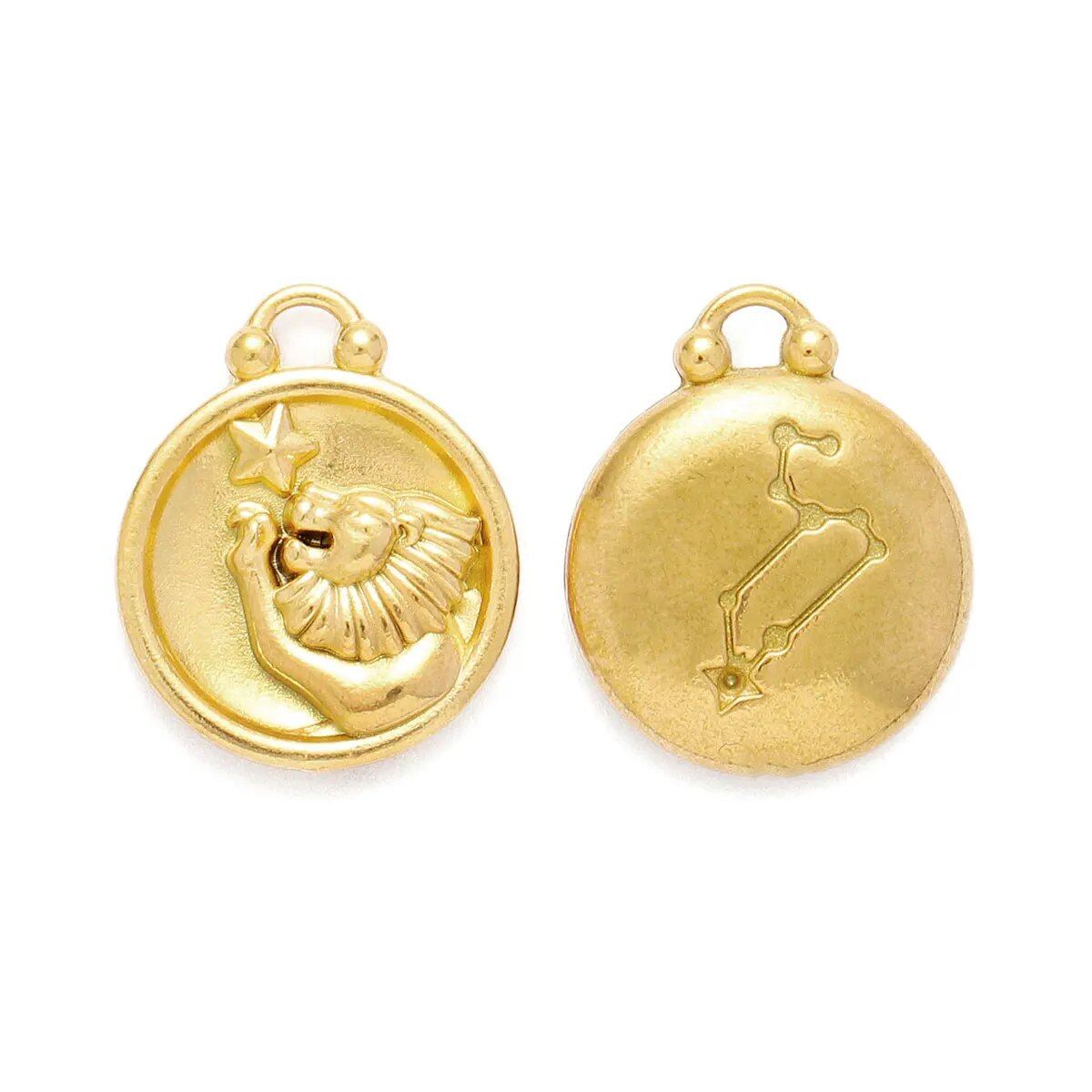 Set of 5 Stainless Steel Zodiac Charms, Round Zodiac Pendants, DIY Jewelry Making Supplies, Wholesale, Metal Color: XF500-x5, Parallel Import