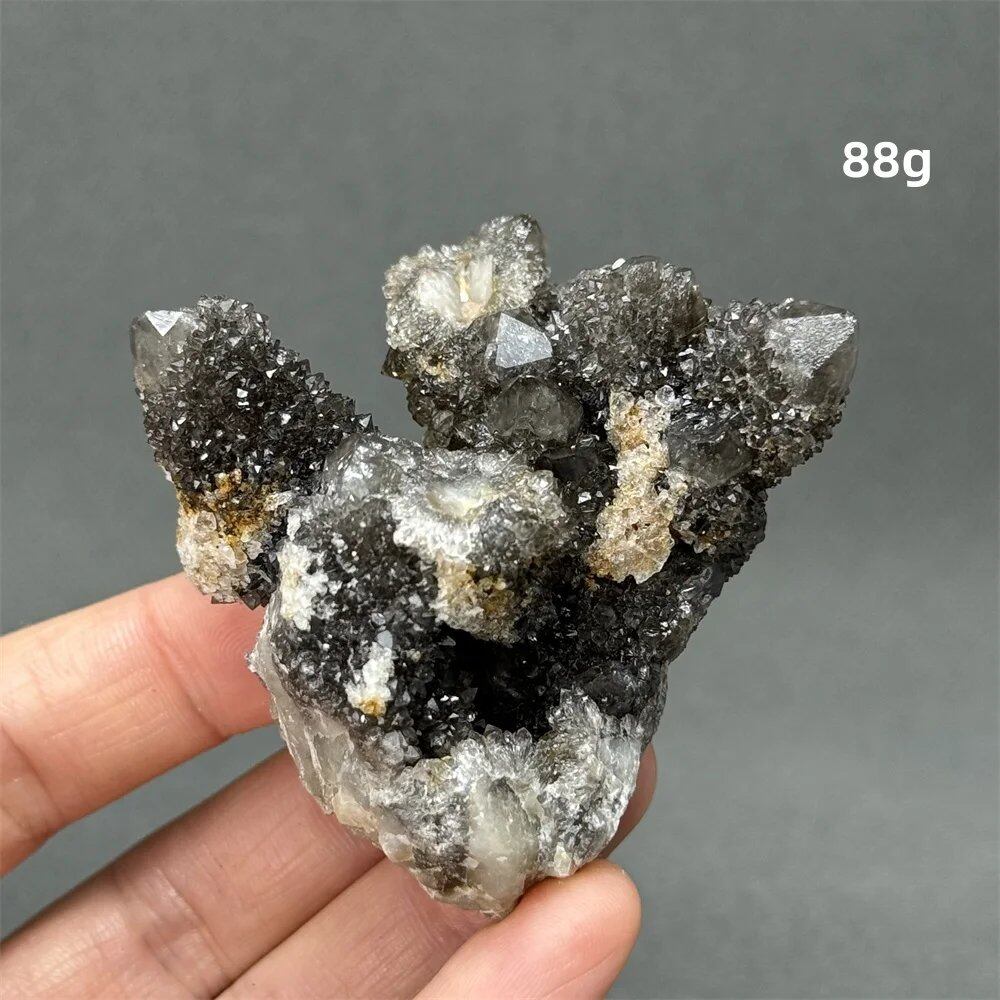 100%天然 南アフリカ産 ブラッククリスタルサボテン ミネラル原石 クラスター オーラヒーリング 瞑想 エネルギー ホームデコレーション カラー: 並行輸入品