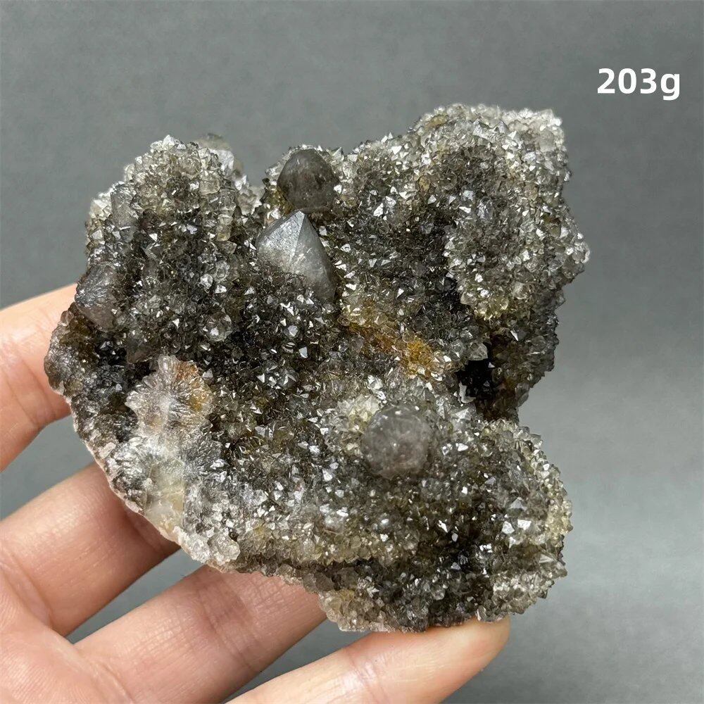 100%天然 南アフリカ産 ブラッククリスタルサボテン ミネラル原石 クラスター オーラヒーリング 瞑想 エネルギー ホームデコレーション カラー: 並行輸入品