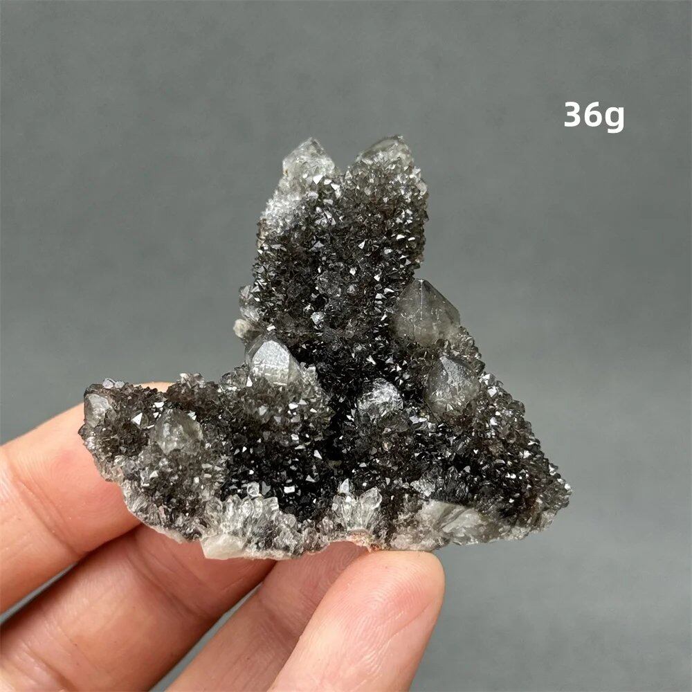 100%天然 南アフリカ産 ブラッククリスタルサボテン ミネラル原石 クラスター オーラヒーリング 瞑想 エネルギー ホームデコレーション カラー: 並行輸入品