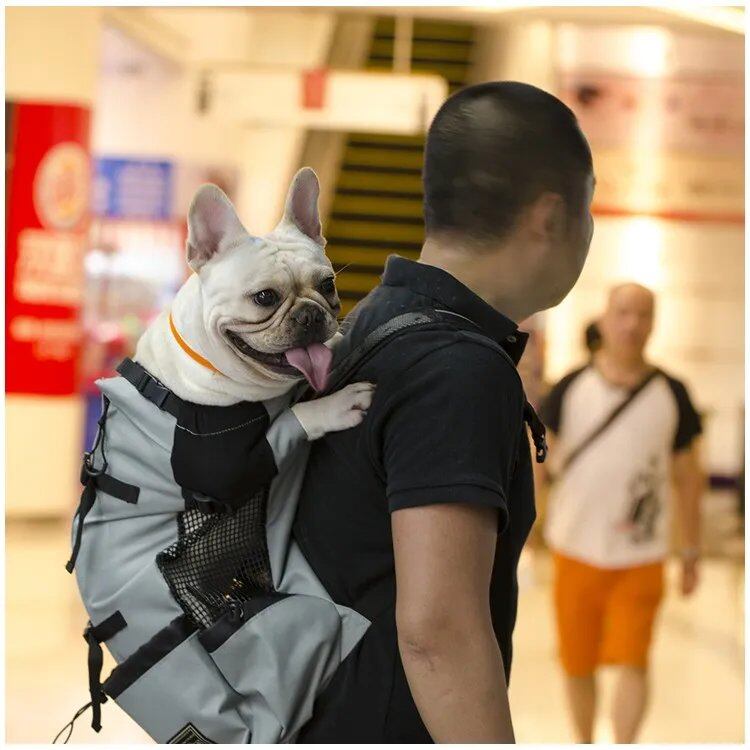 Breathable Pet Carrier/Travel Backpack for Hiking, Bicycle/Motorcycle Compatible, Mesh Sports Bag, Drop Shipping, Size: Parallel Import