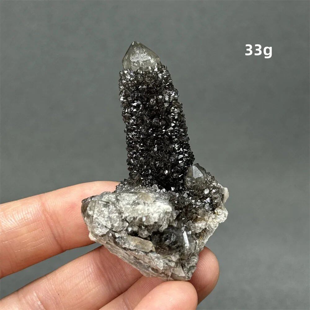 100%天然 南アフリカ産 ブラッククリスタルサボテン ミネラル原石 クラスター オーラヒーリング 瞑想 エネルギー ホームデコレーション カラー: 並行輸入品