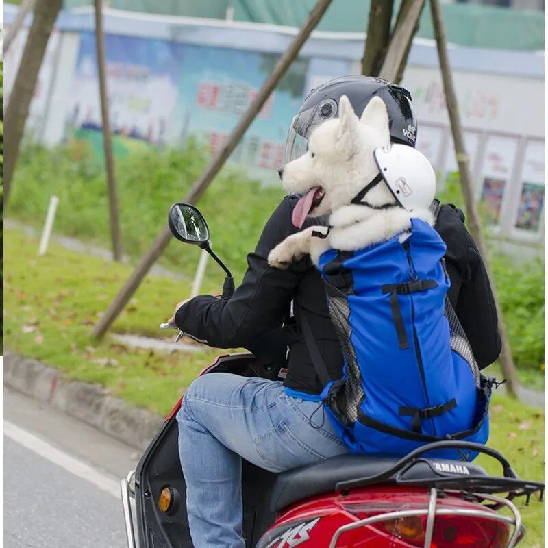 Breathable Pet Carrier/Travel Backpack for Hiking, Bicycle/Motorcycle Compatible, Mesh Sports Bag, Drop Shipping, Size: Parallel Import