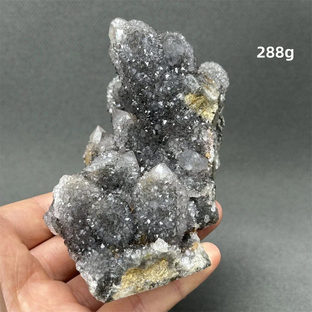 100%天然 南アフリカ産 ブラッククリスタルサボテン ミネラル原石 クラスター オーラヒーリング 瞑想 エネルギー ホームデコレーション カラー: 並行輸入品