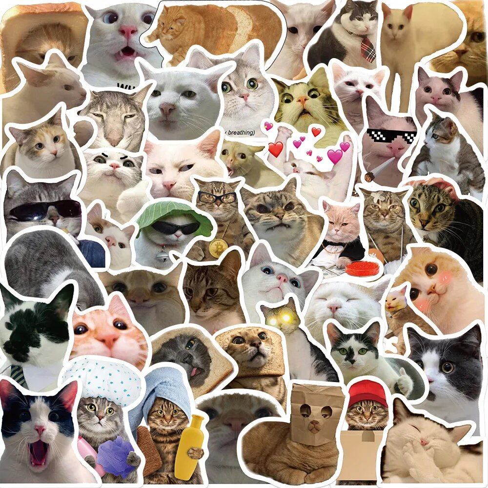 10/30/50枚入り 面白い猫のミーム グラフィティステッカー DIYスクラップブック ノートパソコン スーツケース用 かわいい動物デカール おもちゃ ギフト向けステッカー 0個入り 並行輸入品