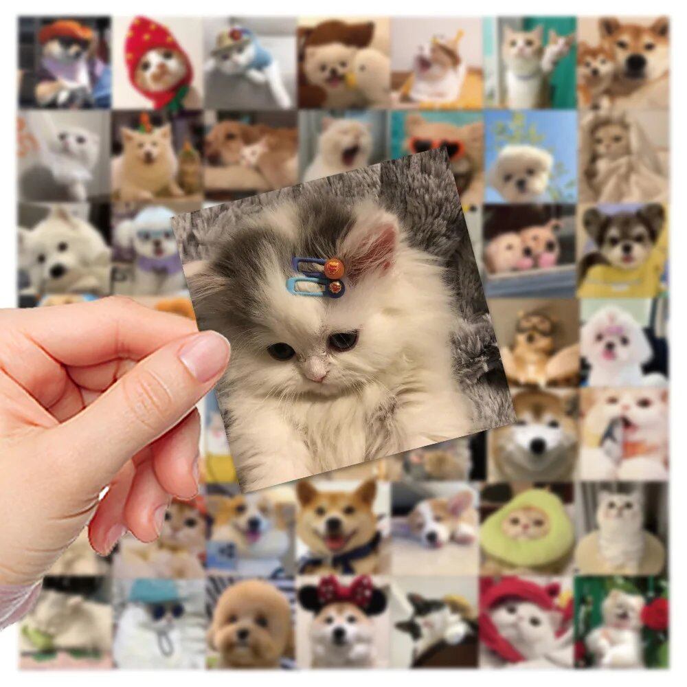 10/30/52枚入り かわいい犬猫ミームステッカー PVC防水デカール DIY ラップトップ スマホ スーツケース 文房具 おもしろ動物ステッカー おもちゃ ギフト 並行輸入品