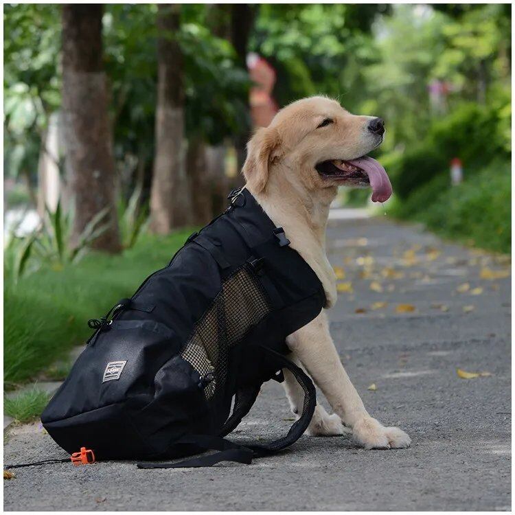 Breathable Pet Carrier/Travel Backpack for Hiking, Bicycle/Motorcycle Compatible, Mesh Sports Bag, Drop Shipping, Size: Parallel Import