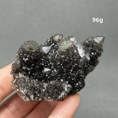 100%天然 南アフリカ産 ブラッククリスタルサボテン ミネラル原石 クラスター オーラヒーリング 瞑想 エネルギー ホームデコレーション カラー： 並行輸入品