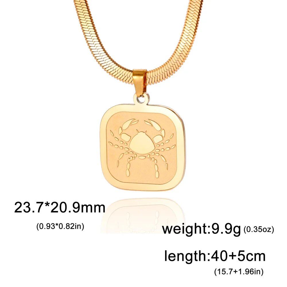 Women's 12 Zodiac Signs Necklace, Stainless Steel, Horoscope, Zodiac Pendant, Medallion, Snake Chain, Birthday Jewelry, "My Shape," 50cm Long; Metal Color: Parallel Import
