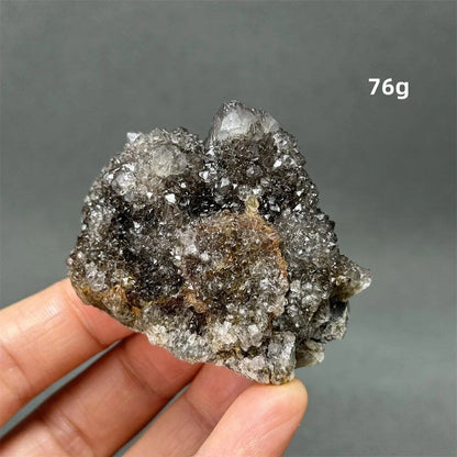 100%天然 南アフリカ産 ブラッククリスタルサボテン ミネラル原石 クラスター オーラヒーリング 瞑想 エネルギー ホームデコレーション カラー： 並行輸入品
