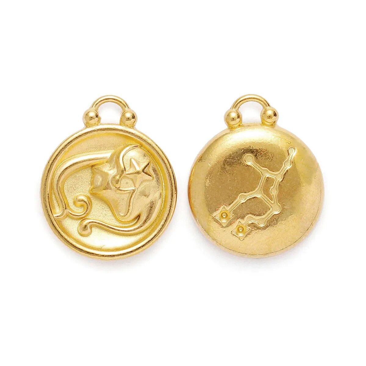 Set of 5 Stainless Steel Zodiac Charms, Round Zodiac Pendants, DIY Jewelry Making Supplies, Wholesale, Metal Color: XF500-x5, Parallel Import