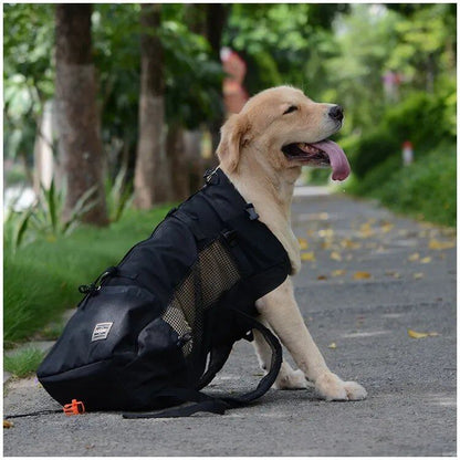 Breathable Pet Carrier/Travel Backpack for Hiking, Bicycle/Motorcycle Compatible, Mesh Sports Bag, Drop Shipping, Size: Parallel Import