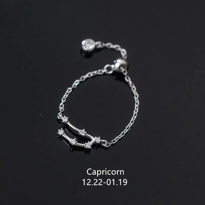 WANTME 925 Sterling Silver Unique 12 Constellations Chain Link Adjustable Ring for Women and Couples, Zodiac Jewelry, Astrological Gift, Parallel Import
