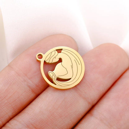 Set of 5 Round Hollow Zodiac Sign Pendants, Stainless Steel, 12 Constellation Charms, DIY Necklace, Bracelet, Jewelry Making, Metal Color: Parallel Import