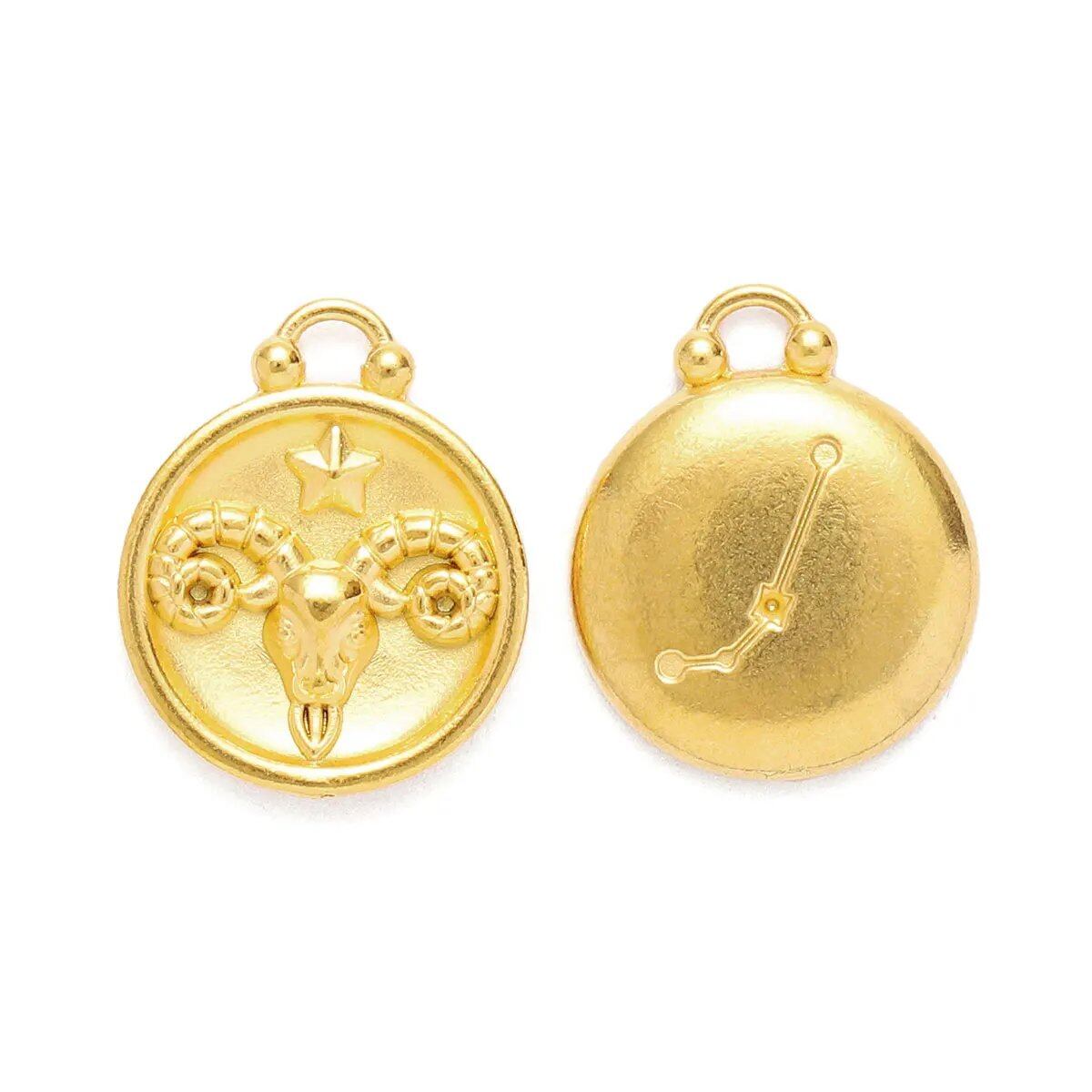 Set of 5 Stainless Steel Zodiac Charms, Round Zodiac Pendants, DIY Jewelry Making Supplies, Wholesale, Metal Color: XF500-x5, Parallel Import