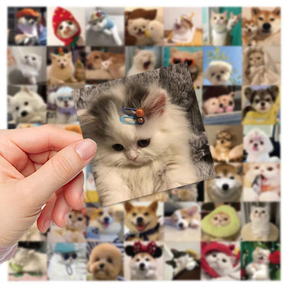 10/30/52枚入り かわいい犬猫ミームステッカー PVC防水デカール DIY ラップトップ スマホ スーツケース 文房具 おもしろ動物ステッカー おもちゃ ギフト  並行輸入品