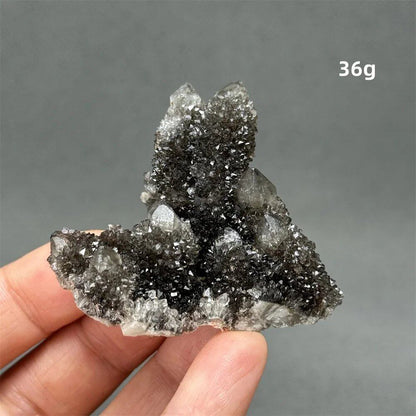 100%天然 南アフリカ産 ブラッククリスタルサボテン ミネラル原石 クラスター オーラヒーリング 瞑想 エネルギー ホームデコレーション カラー： 並行輸入品