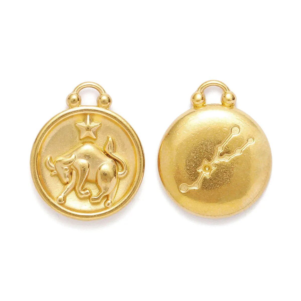 Set of 5 Stainless Steel Zodiac Charms, Round Zodiac Pendants, DIY Jewelry Making Supplies, Wholesale, Metal Color: XF500-x5, Parallel Import