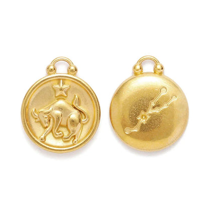 Set of 5 Stainless Steel Zodiac Charms, Round Zodiac Pendants, DIY Jewelry Making Supplies, Wholesale, Metal Color: XF500-x5, Parallel Import